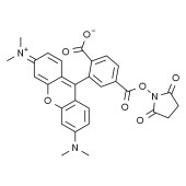 Solarbio S1088 6-羧基四甲基罗丹明琥珀酰亚胺酯（单一化合物）