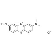 Solarbio G8220 姬姆萨染料