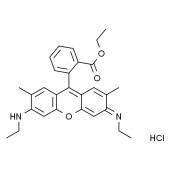 Solarbio R7921 Rhodamine 6G  罗丹明6G