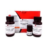 Solarbio G3040 铜盐染色试剂盒(红氨酸法)