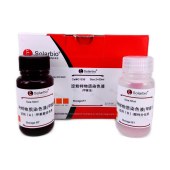 Solarbio G1536 淀粉样物质染色试剂盒(甲紫法)