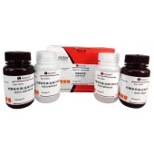 Solarbio G1272 抗酸染色试剂盒(金胺O法)