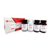Solarbio G1614 巴氏染色试剂盒(EA65)