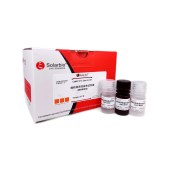 Solarbio G1573 线粒体活性染色试剂盒