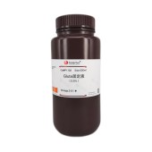 Solarbio P1128 Gluta固定液(2.5%)