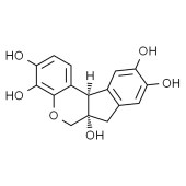 Solarbio H8070 苏木素