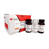 Solarbio G1273 抗酸染色试剂盒(改良Kinyoun冷染法)