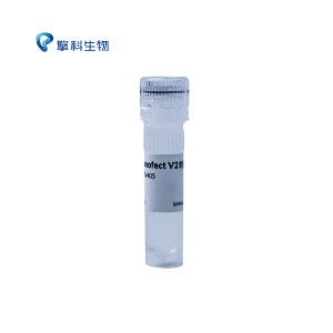 TSINGKE TSV405 TSnanofect V2 转染试剂