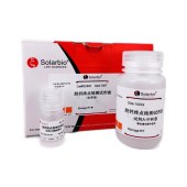 Solarbio G2880 脱钙终点检测试剂盒(化学法)