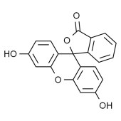 Solarbio F8601 Fluorescein   荧光素