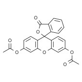 Solarbio F8040 二乙酸荧光素