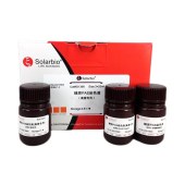 Solarbio G1366 糖原PAS染色试剂盒(真菌专用)
