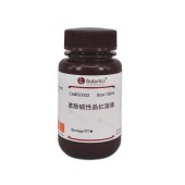 Solarbio G0032 碱性品红酚溶液 (5%/0.5%)