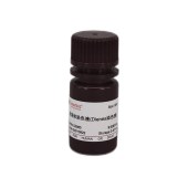 Solarbio G0980 支原体染色液(Dienes法)