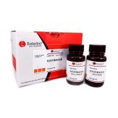 Solarbio G3190 布氏杆菌染色试剂盒