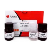 Solarbio G1995 金胺-酚染色试剂盒