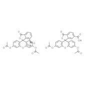 Solarbio S1075 5(6)-羧基荧光素二乙酸酯