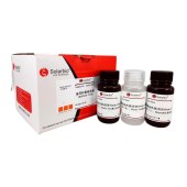 Solarbio G3120 麻风杆菌染色试剂盒(改良Wade-Fite法)