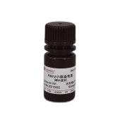 Solarbio G1761 Heinz小体染色液(耐尔蓝法)