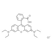 Solarbio R8040 罗丹明B