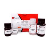 Solarbio G2025 脂褐素染色试剂盒(醛复红法)