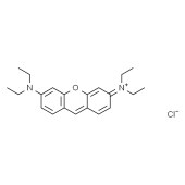 Solarbio P9320 派洛宁B