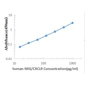 Solarbio SHB134 生物素标记的羊抗兔IgG