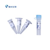 TSINGKE TSC-E02 BL21-AI Chemically Competent Cell