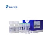 TSINGKE TSE013 T5 Direct PCR Kit (Plus)