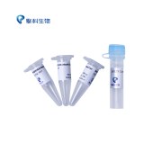 TSINGKE TSC-E07 JM109(DE3) Chemically Competent Cell