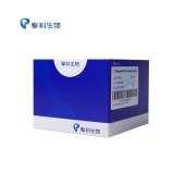 TSINGKE TSE012 T5 Direct PCR Kit (Animal Tissue)
