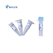 TSINGKE TSC-E03 TSR2566 Chemically Competent Cell