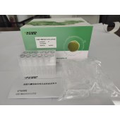 KEYGEN/开景基因 SeE02-12 细胞外囊泡染色纯化试剂盒