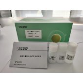 KEYGEN/开景基因 GlyE01-12 细胞外囊泡提取试剂盒