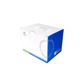 方舟 DZ304-02 通用型DNA小量提取试剂盒