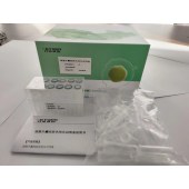 KEYGEN/开景基因 SeE02-12 细胞外囊泡染色纯化试剂盒