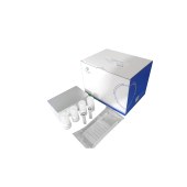 方舟 DC301-01 磁珠法细菌DNA提取试剂盒