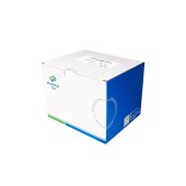 方舟 DZ305-03 游离DNA小量提取试剂盒