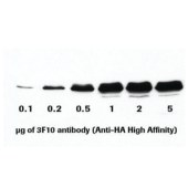Roche 11867423001 Anti-HA High Affinity (3F10)