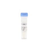 Biosharp BL1271A RNase A溶液(100 mg/mL)