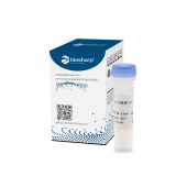 Biosharp BL1271A RNase A溶液(100 mg/mL)