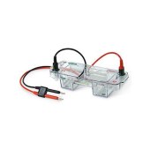bio-rad 1704467 Mini-Sub Cell GT System 7x10cm Tray/Cast（迷你水平电泳槽）