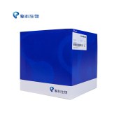 TSINGKE TSP8211 TS-Blot 转膜试剂盒