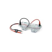 bio-rad 1704486 Mini-Sub Cell GT Sys 7x7 Tray/Gates/Cast（迷你水平电泳槽）