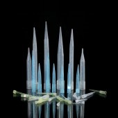 SP-1000 1000ul蓝吸头