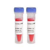 Biosharp BL783A 6×DNA上样缓冲液（红色）