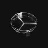 LABSELECT 12560 90mm细菌培养皿,三分格(90*15mm)
