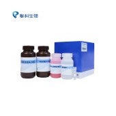 TSINGKE TSW0201-03 Stain-Free PAGE Gel Fast Preparation Kit(One-Step) 10% 免染PAGE凝胶快速制备试剂盒（一步法）10%