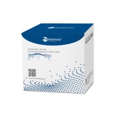 Biosharp BL1483A 超氧化物歧化酶(SOD)活性检测试剂盒(WST-8法) 分光法