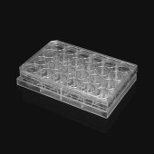 LABSELECT 14347 细胞侵袭小室,含24孔板(基质胶包被,PET膜,6.5mm,孔径8.0um)